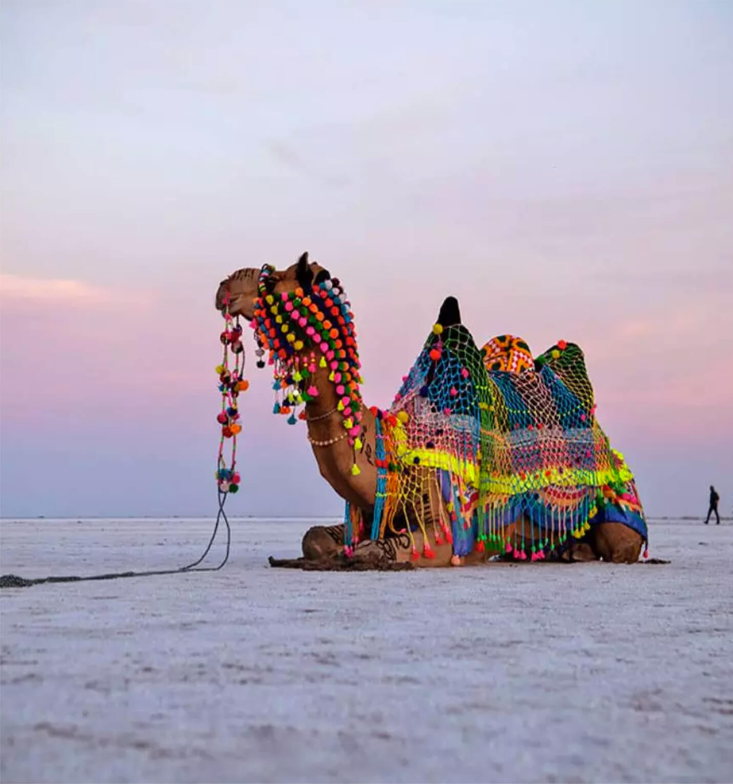 Tales of the Salt Desert