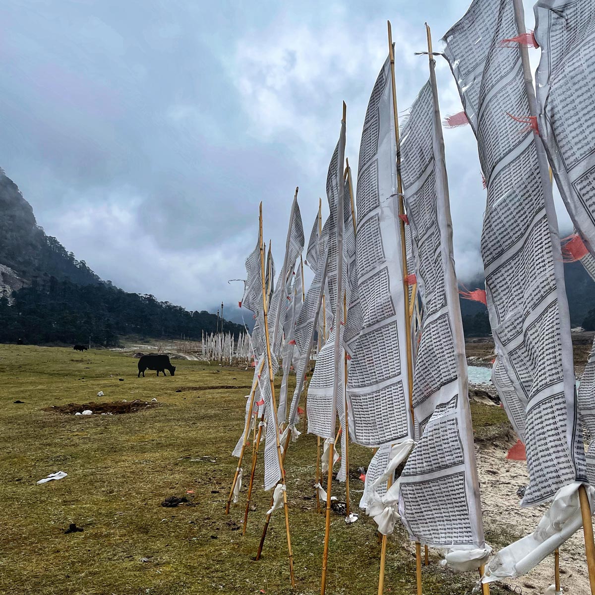 Serene Sikkim