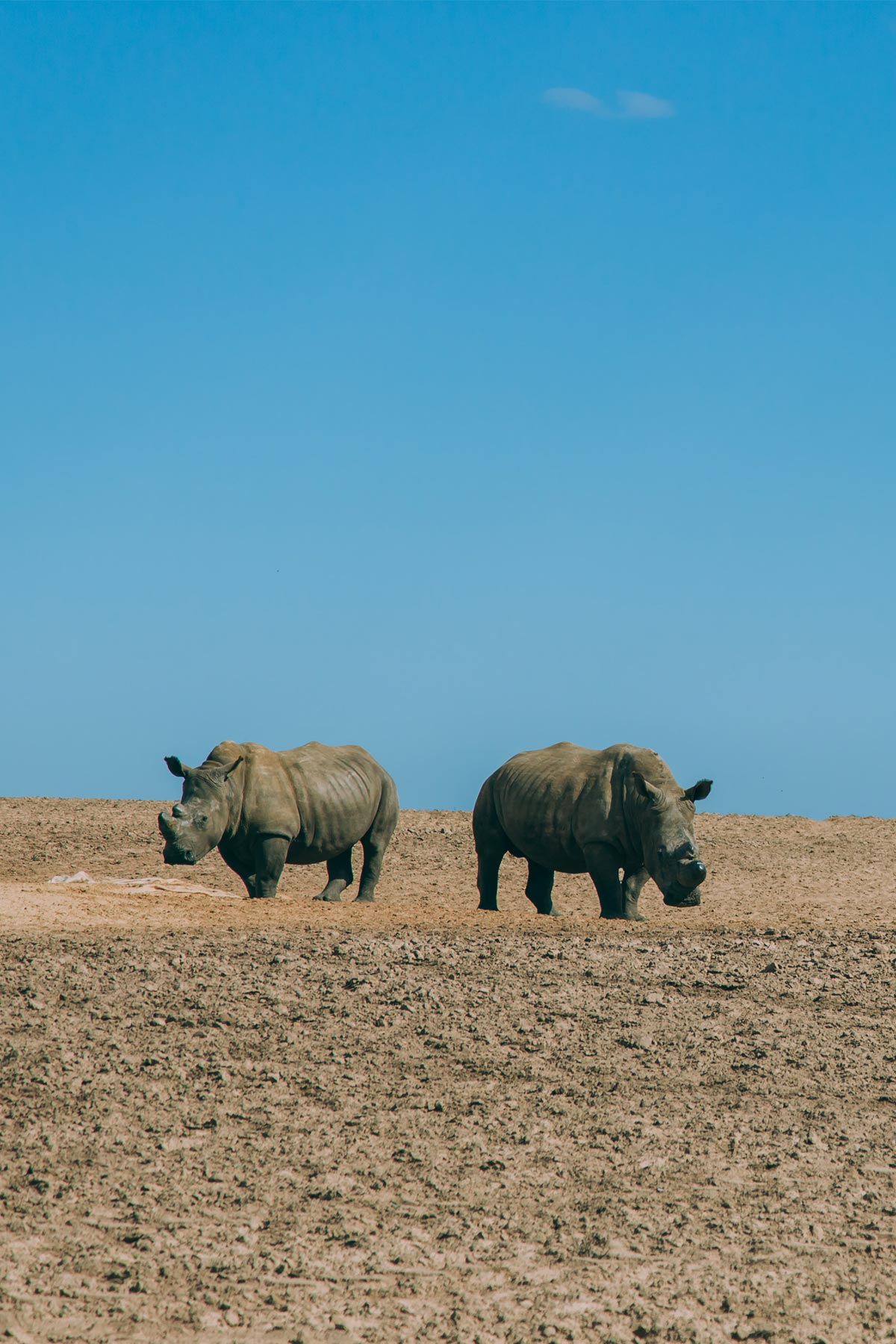 Destination Featured Image Assam