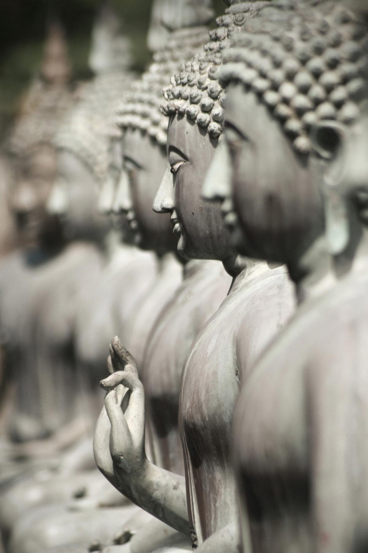 Feature Image Srilanka