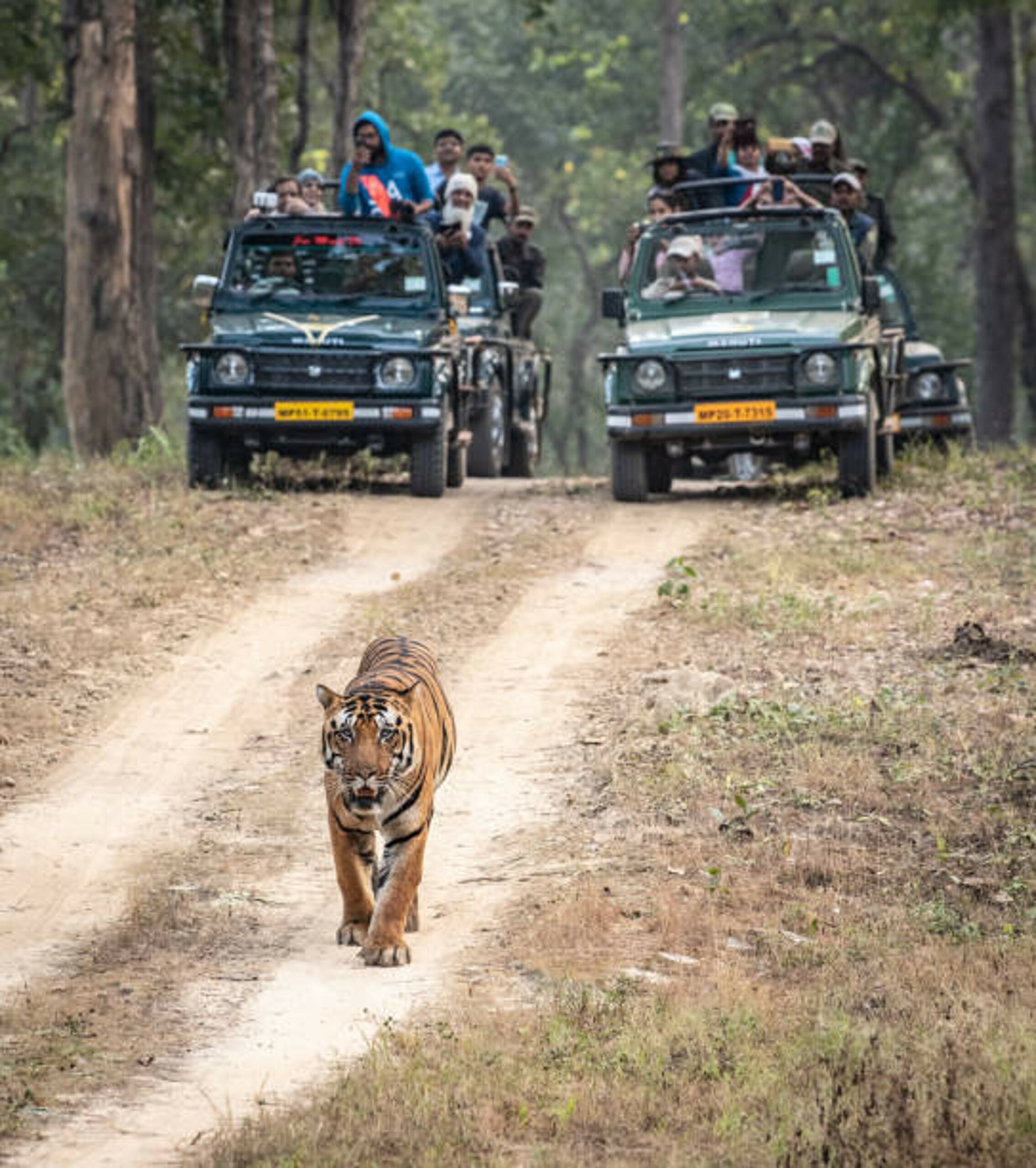 North & Central India – Wildlife & Heritage Tour